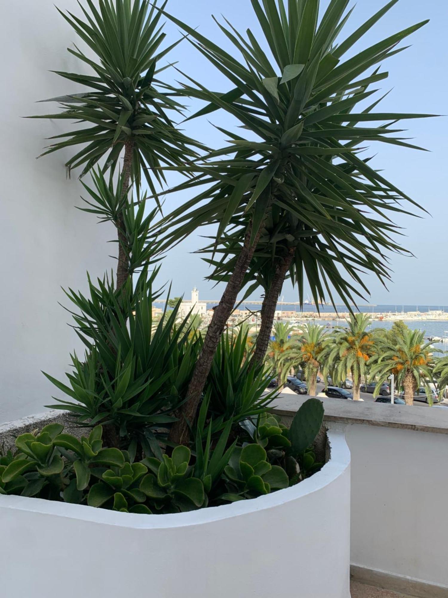 Terrazza Diomede- Manfredi Homes & Villas Manfredonia Exterior foto